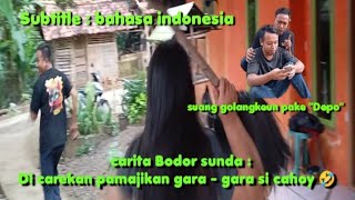 carita bodor sunda // Di carekan ku pamajikan gara2 si cahoy 🤣  #bodoransundalucu #lucu #comedy