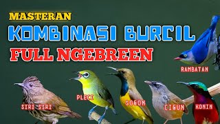 2 jam mastern  kombinasi BURCIL full tembakan NGEBREEN materi rapi mudah di tiru