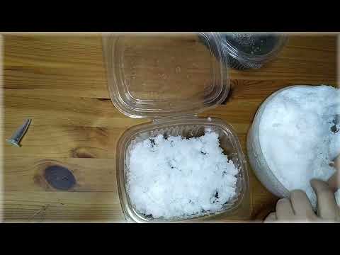 Как посеять петунию на снег