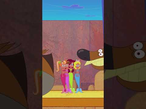 Course #Shorts #Zigandsharko Zig & Sharko | Cartoon for kids