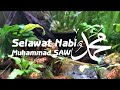 Selawat dan Salam ke Atas Junjungan Besar Nabi Muhammad SAW | Muhammad SAW | Aquarium | Merdu | Soft