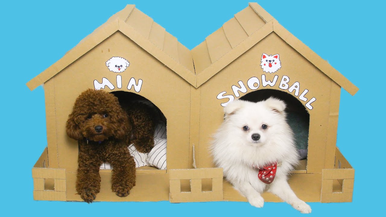 Making Double House For Our Pet Dogs | DIY Pet Toys - YouTube
