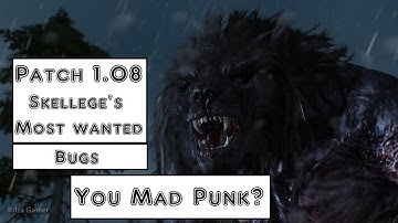 The Witcher 3 patch 1.08 Bug "Skellige