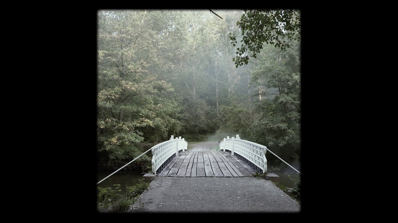 Paradise Down by the Lake 2021 l Location