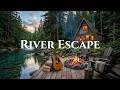 🎸 Relaxing Acoustic Guitar at Forest Cabin | Calm Campfire Ambience for Sleep & Meditation