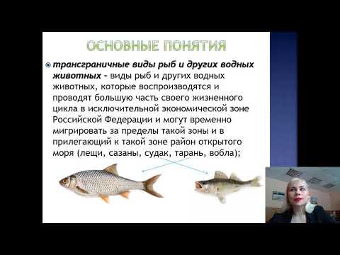 Лекция 23. Отношения в области рыболовства и сохранения водных биоресурсов_2021