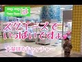 スクイーズのUFOキャッチャーならここが１番！【エブリデイ】にも負けない！！なないろちゅーぶ【スクイーズ】ユーホーキャッチャー人気動画