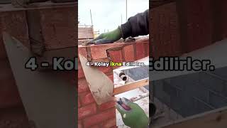 Yalaka Insanlara Gönder Üzik Im