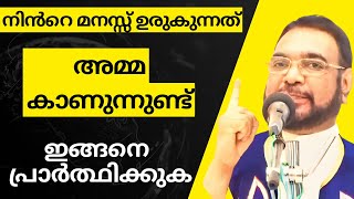 നിൻറെ മനസ്സ് ഉരുകുന്നത്... l marian miracle prayer l miraculous prayer