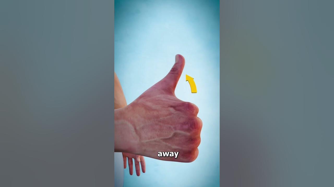 What Does This Long Thumb Muscle Do? 🤔