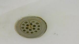 How to Fix a Clogged Shower & Toilet : Toilet Repairs