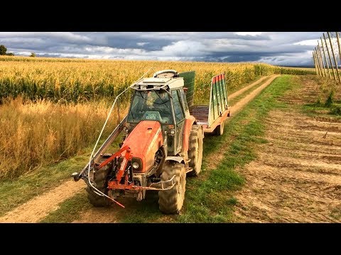 Videó: Használnak a sörgyártók castoreumot?