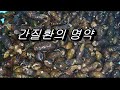 복수증상과 간경화 치료효과가 매우 탁월해서 민물의 웅담이라고 불리우는 다슬기효능 및 잡는방법
