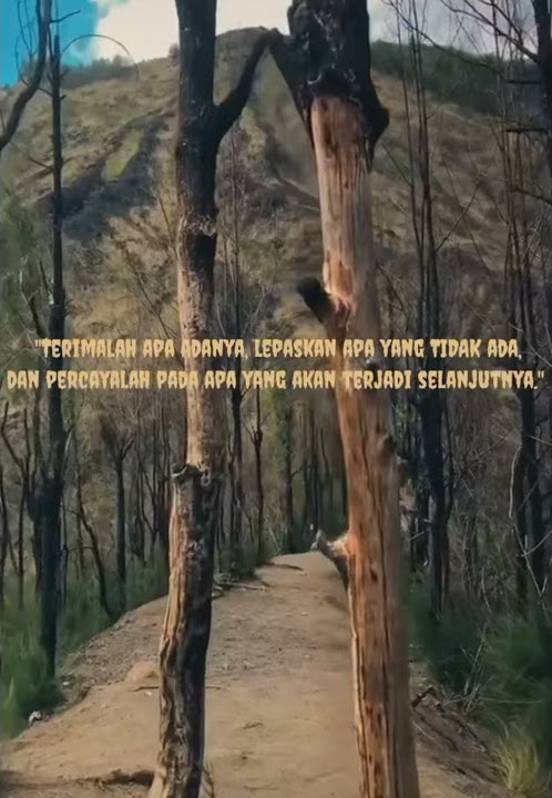 #STORY WA#TERIMA APA ADANYA LEPASKAN YG TIDAK HIDUP ADALLAH PILIHAN