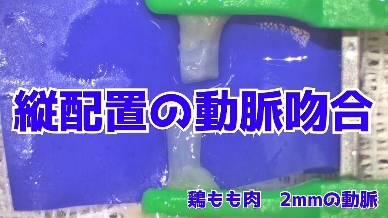 マイクロサージャリー】ガーゼを使った血管の配置 Vol.26 - YouTube