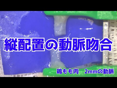 マイクロサージャリー】縦配置の動脈吻合 Vol.40 - YouTube