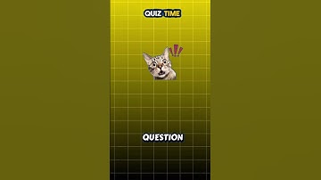 Mind-bending brain riddle #riddlechallenge, #brainteasers,#foryou