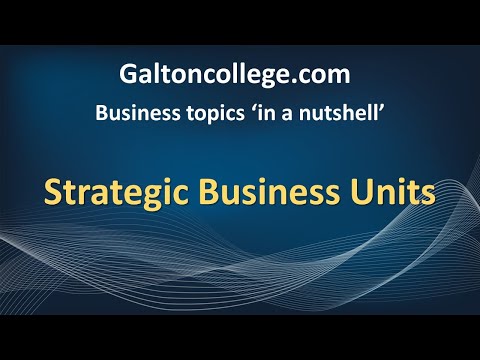 strategic business unit คือ  Update  M6DA  Strategic Business Units