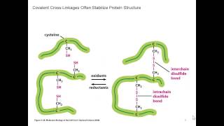 L02v04 protein structure part 2
