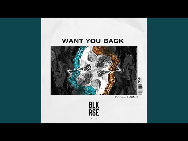 Blk Rse - Want You Back