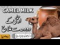 Camel Milk Benefits - Oontni Ke Doodh Ke Fayde - Dr. Fahad Artani Roshniwala