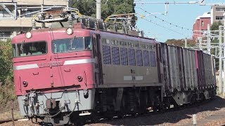 【JR貨物】５０５３レ ＥＦ８１-４０３ ヤマトＤＤ積載