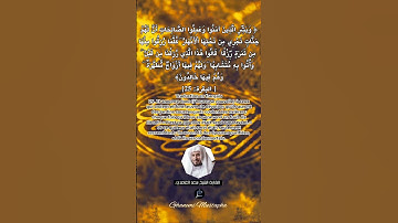 الآية (25)من سورة البقرة... القارئ الشيخ سعد الغامدي.