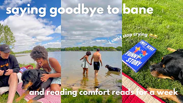 reading comfort reads for the week and saying goodbye to bane * i can't stop crying* 😭😭😭💔💔