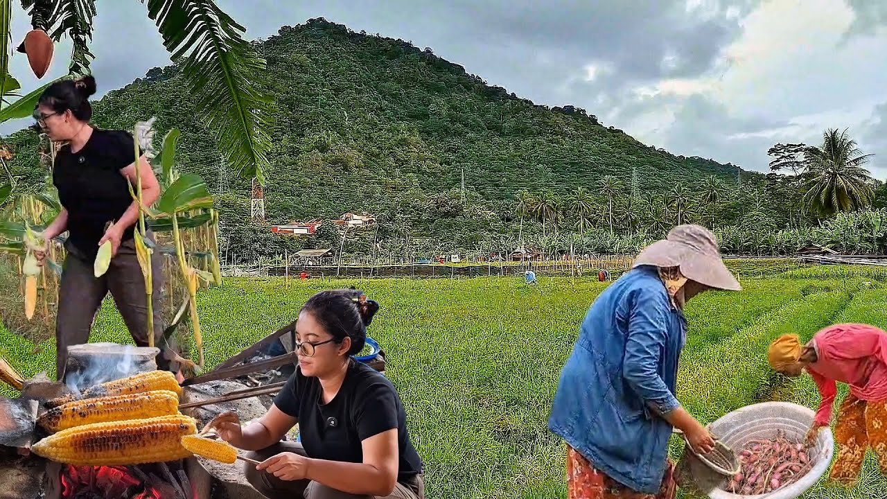 Bikin Jagung Bakar Pedas Asam Manis Sisa Sisa Panen Di Saung Ladang