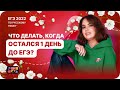 Что делать, когда остался 1 день до ЕГЭ? | ЕГЭ по русскому языку 2022