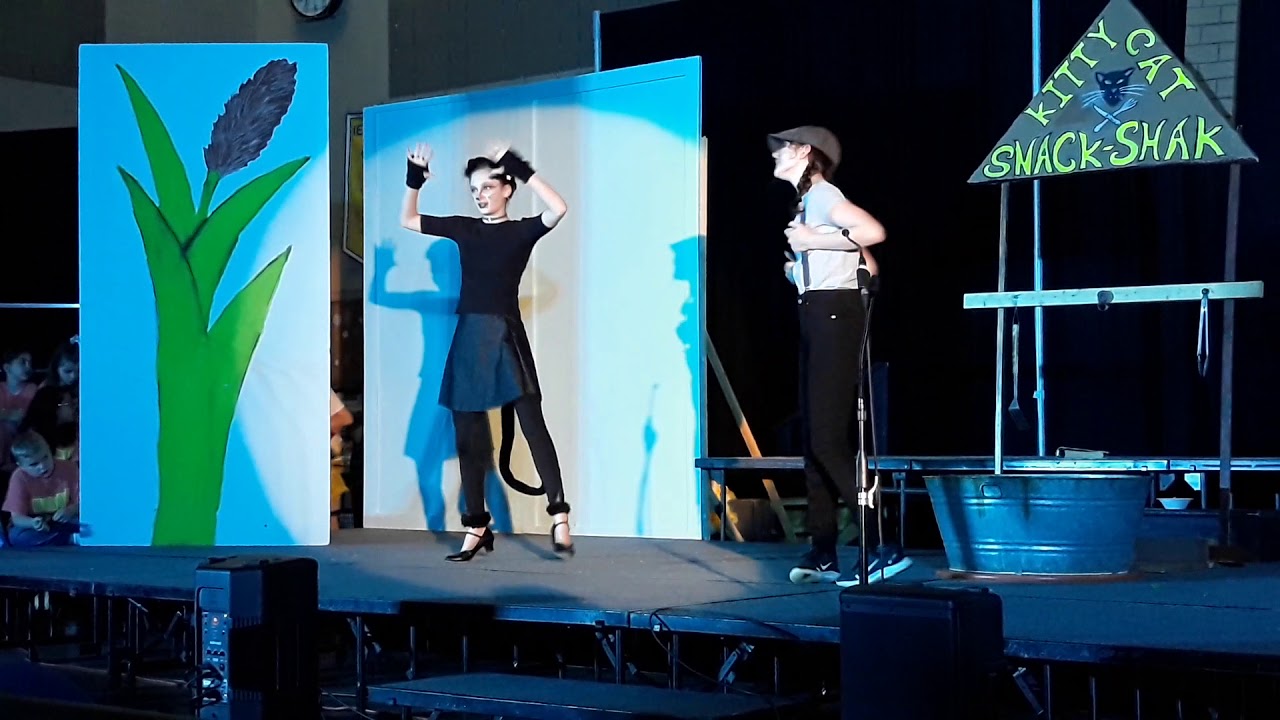 "Play With Your Food" Honk Jr. Lily P. as The Cat 4 YouTube