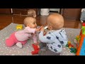 Funny triplet babies fight over rash cream and then play.