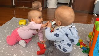 Funny triplet babies fight over rash cream and then play.