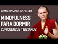 Relajación total con sonidos de Cuencos Tibetanos |  Lama Rinchen Gyaltsen