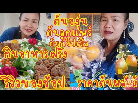 วีดีโอ: วิธีการปรุงหมูอย่างรวดเร็วด้วยซอสลูกแพร์แอปเปิ้ล