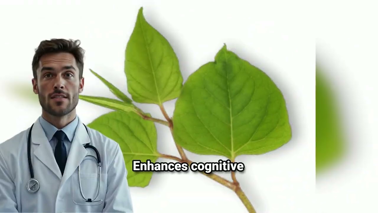 Advanced Mitochondrial Formula 2025 | Natural Energy & Cellular Repair Supplement