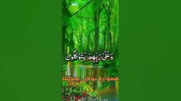 سوره انفال آیات ۲-۴