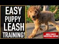 NEW PUPPY SURVIVAL GUIDE: How To Leash Train Your Puppy! (EP: 9)
