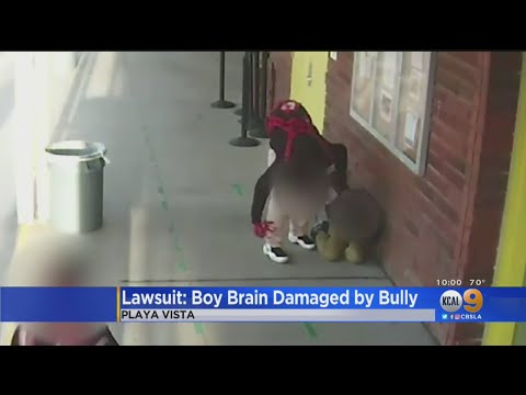 Lawsuit Alleges Boy Suffered Brain Damage From Bullying Incident At School