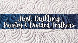 Just Machine Quilting: Paisley Feathers Galore! @AngelaWaltersfmq