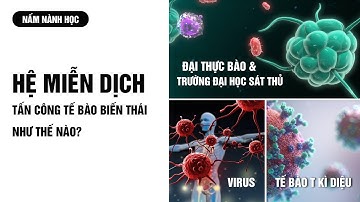 Cách các tế bào chống lại vi khuẩn và virus như thế nào?