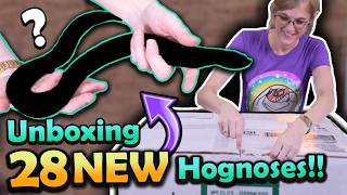 Unboxing 28 Hognoses Sent By A Fan