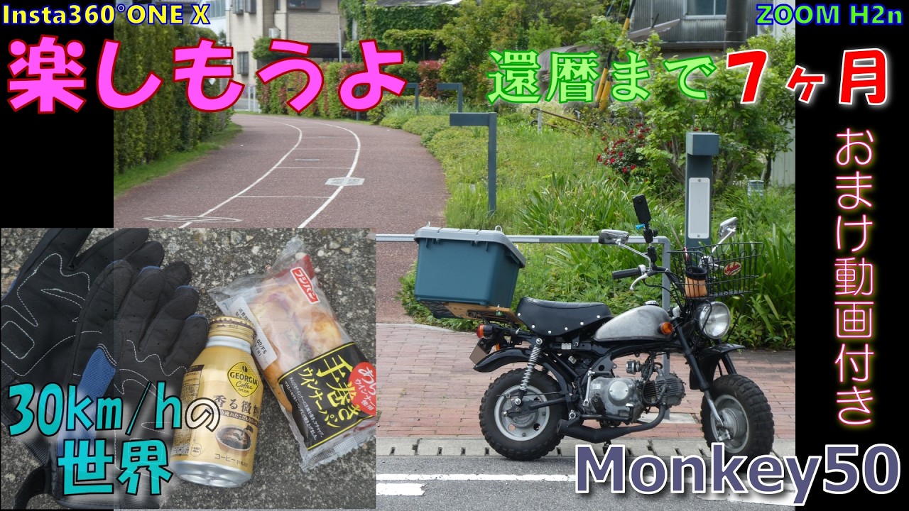 50モンキー】HONDA Monkey Z50J Insta360°ONE X #446 朝パン（おまけ