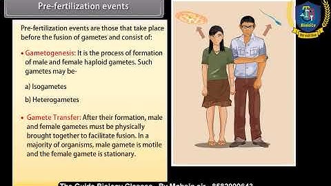 Reproduction in organisms | Class -12th | NEET| Animation