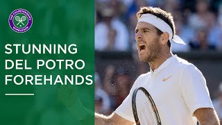 Juan Martin del Potro | Stunning Wimbledon Forehands