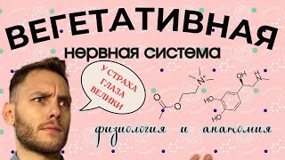 ВЕГЕТАТИВНАЯ НЕРВНАЯ СИСТЕМА ЗА 10 МИНУТ