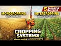 Cropping Systems in Agriculture Explained | Monocropping, Intercropping, Mixed & Relay Cropping |