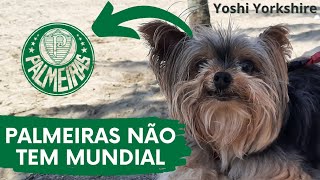 🐶 TaH Beleza 🌊🍺 on X: #HojeEuToAfimDe lembrar que o Palmeiras não tem  mundial.  / X