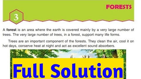 ||Forests Solution||DAV Class 5 Science Ch 3 Solution||Collection Of Study||