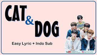 TXT - CAT & DOG Easy Lyrics by GOMAWO [Indo Sub]